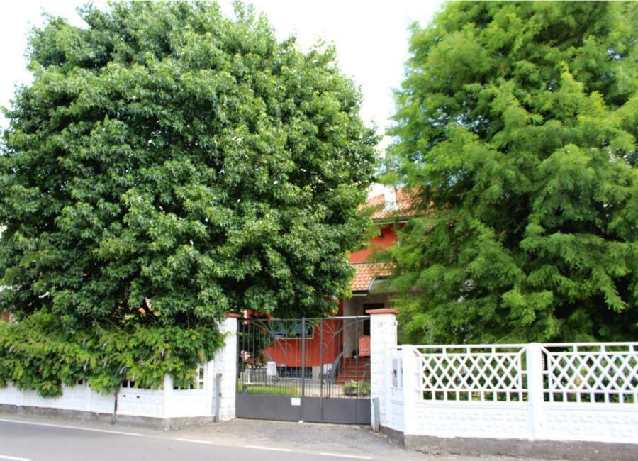 B&B Via Roma Cesate Exteriör bild